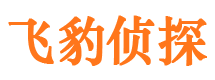 新泰调查公司